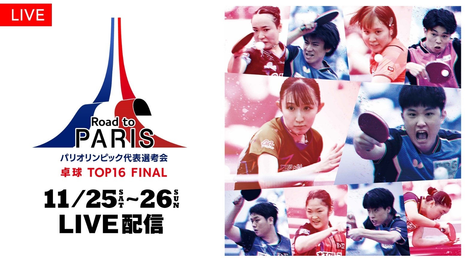 日本卓球界の男女トップ16の選手が一堂に集結！！パリオリンピック代表選考会「卓球 ＴＯＰ１６ ＦＩＮＡＬ」FODで全テーブル・全試合ライブ配信決定！
