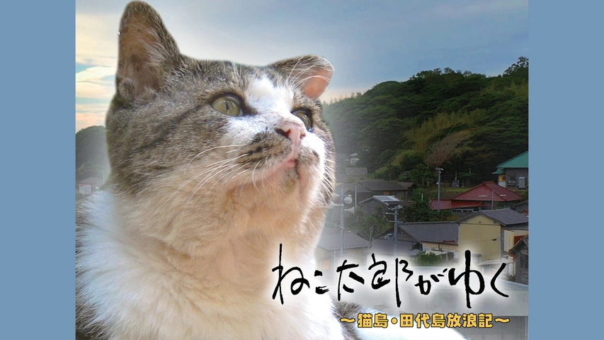 ねこ太郎がゆく ～猫島・田代島放浪記～