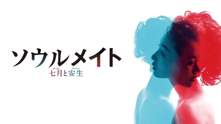 ソウルメイト／七月と安生（字）