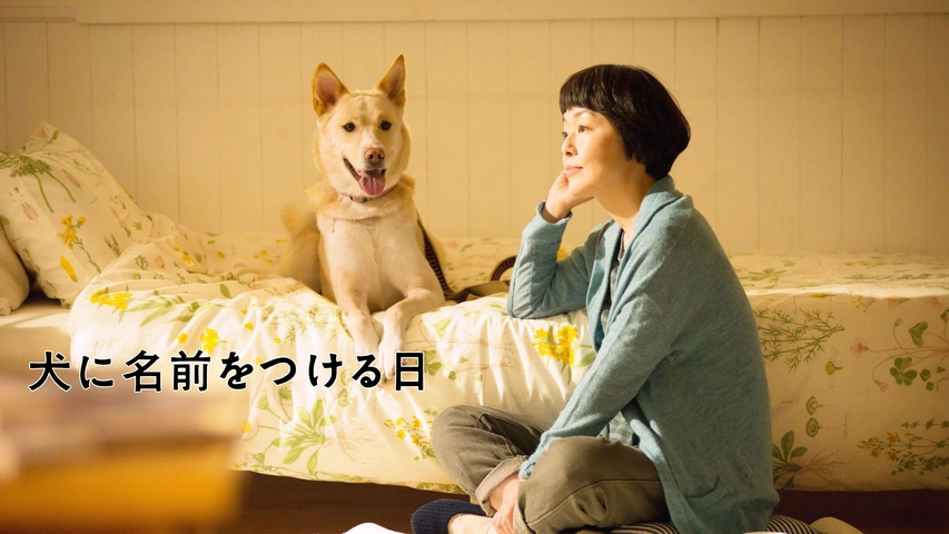 犬に名前をつける日