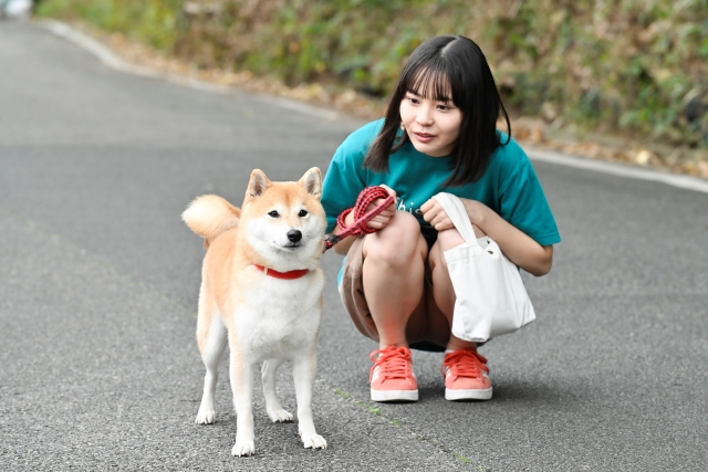『今日のさんぽんた』場面写真