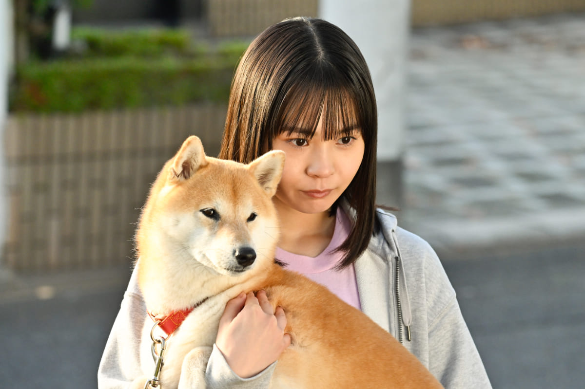『今日のさんぽんた』場面写真
