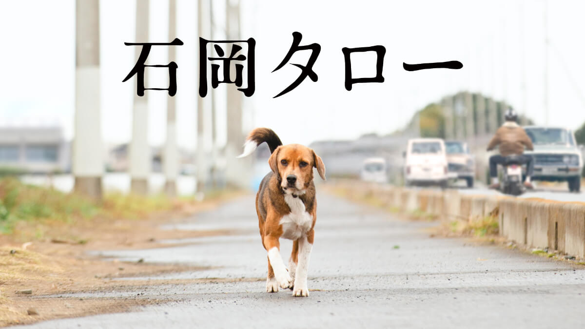 『石岡タロー』