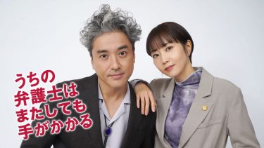 『うちの弁護士はまたしても手がかかる』