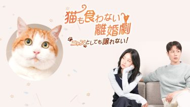 『猫も食わない離婚劇～ニャンとしても譲れない！～』キービジュアル