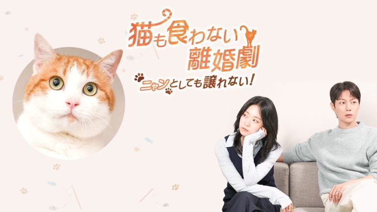 『猫も食わない離婚劇～ニャンとしても譲れない！～』キービジュアル