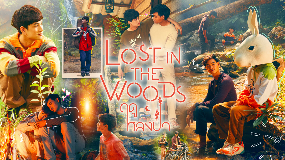 Lost in the Woods