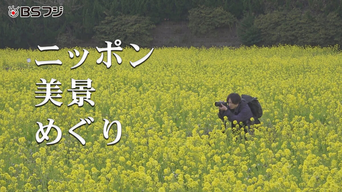 ニッポン美景めぐり